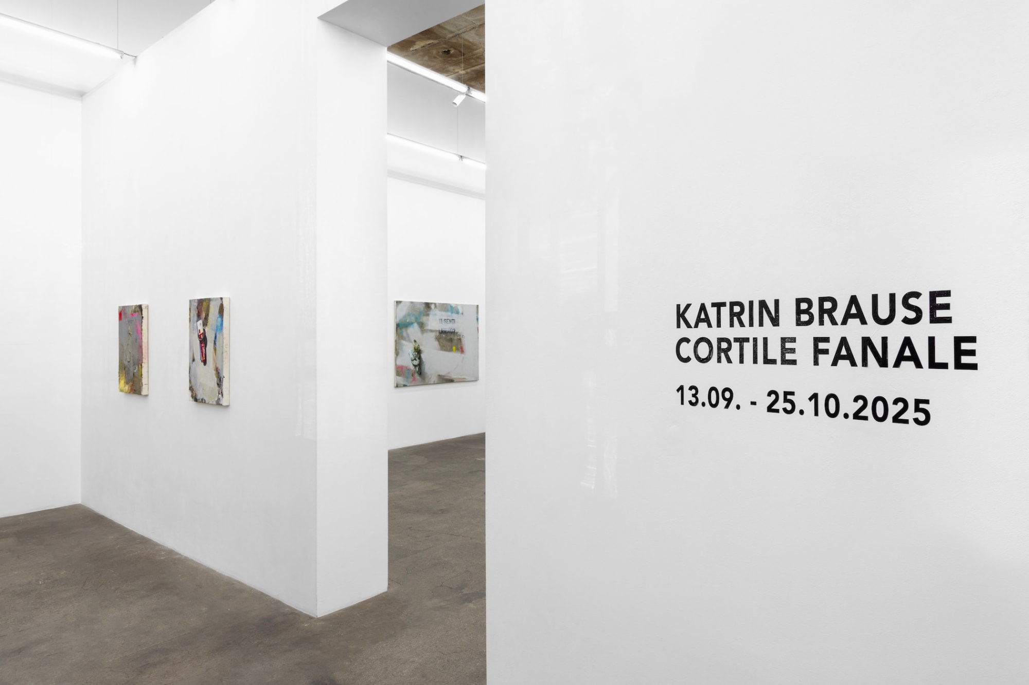 Katrin Brause