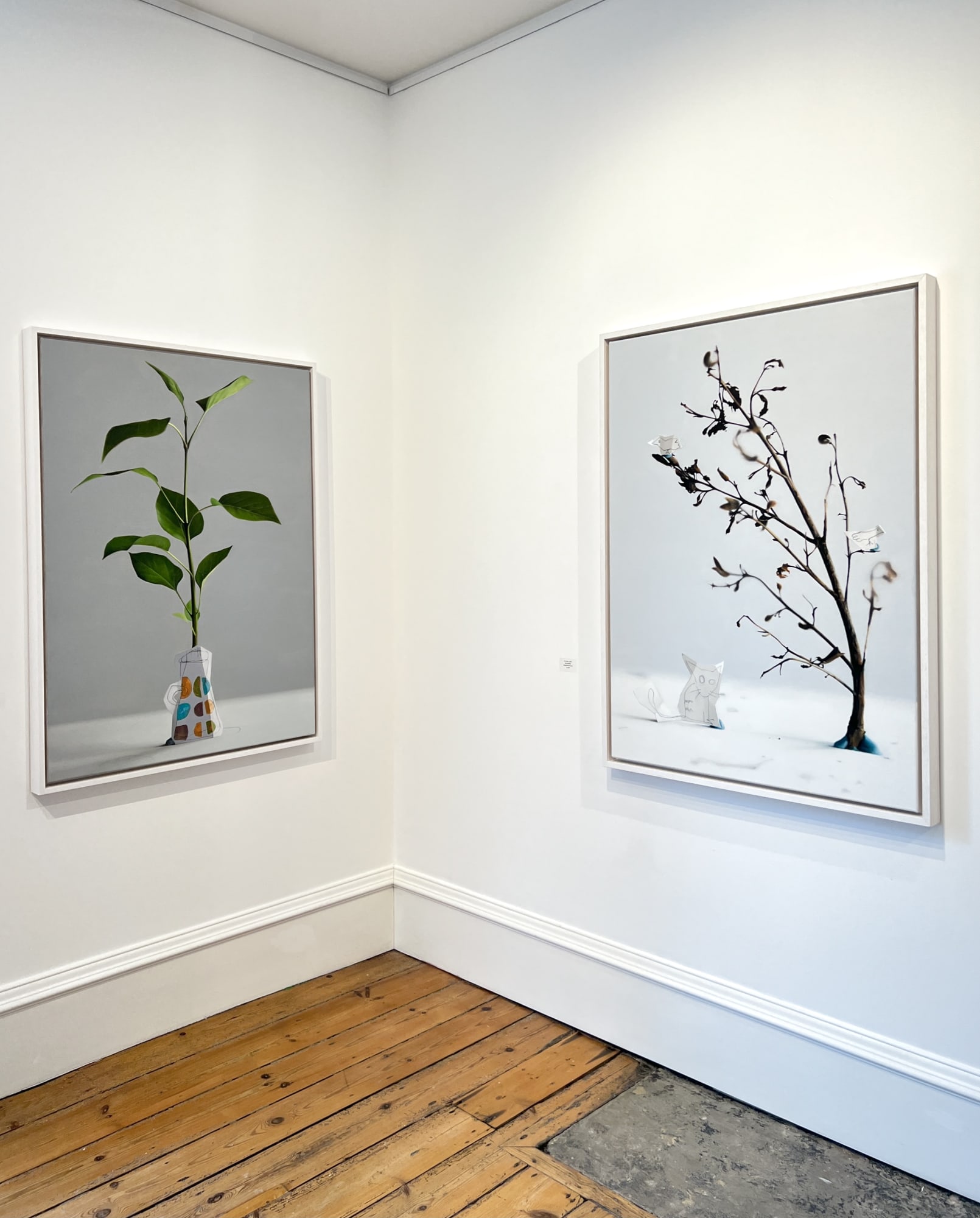 Playing with Perception