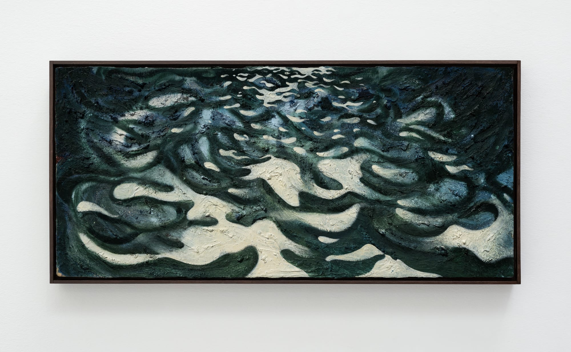 David Cass, Congress