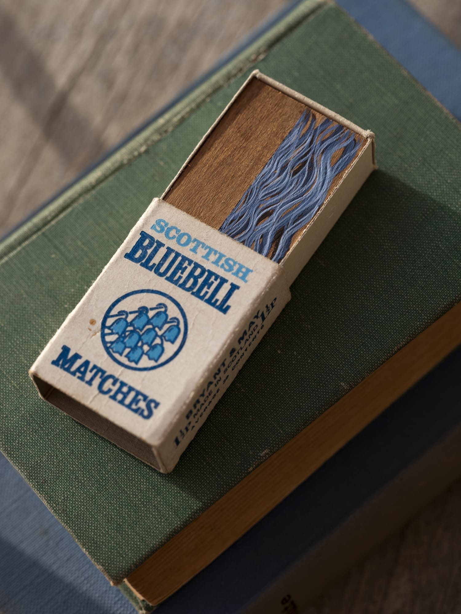 David Cass, Scottish Bluebell I