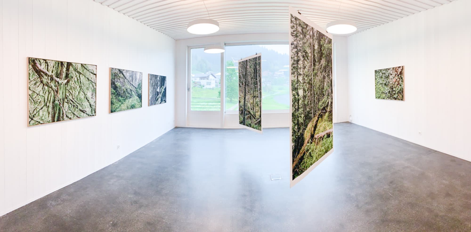 der urwald scatle und caumsee