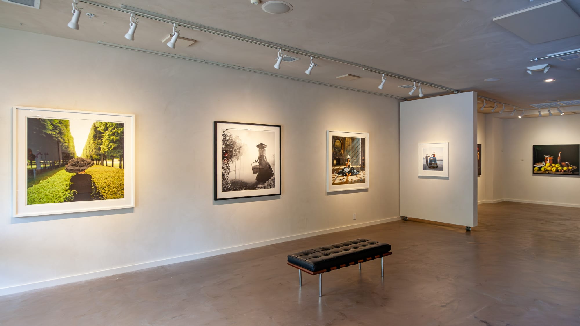 Rodney Smith Retrospective: Leap of Faith