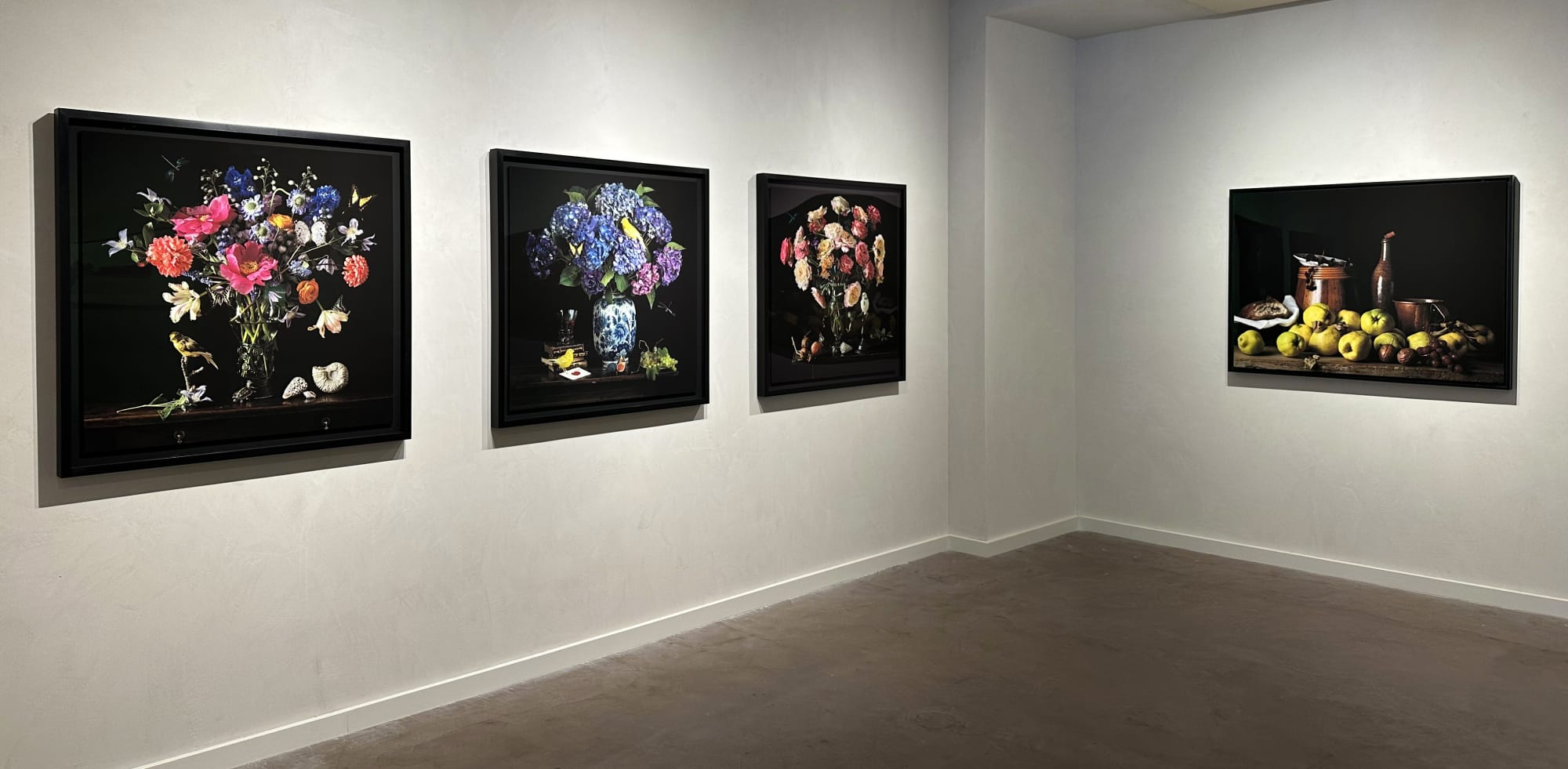 Installation of Paulette Tavormina