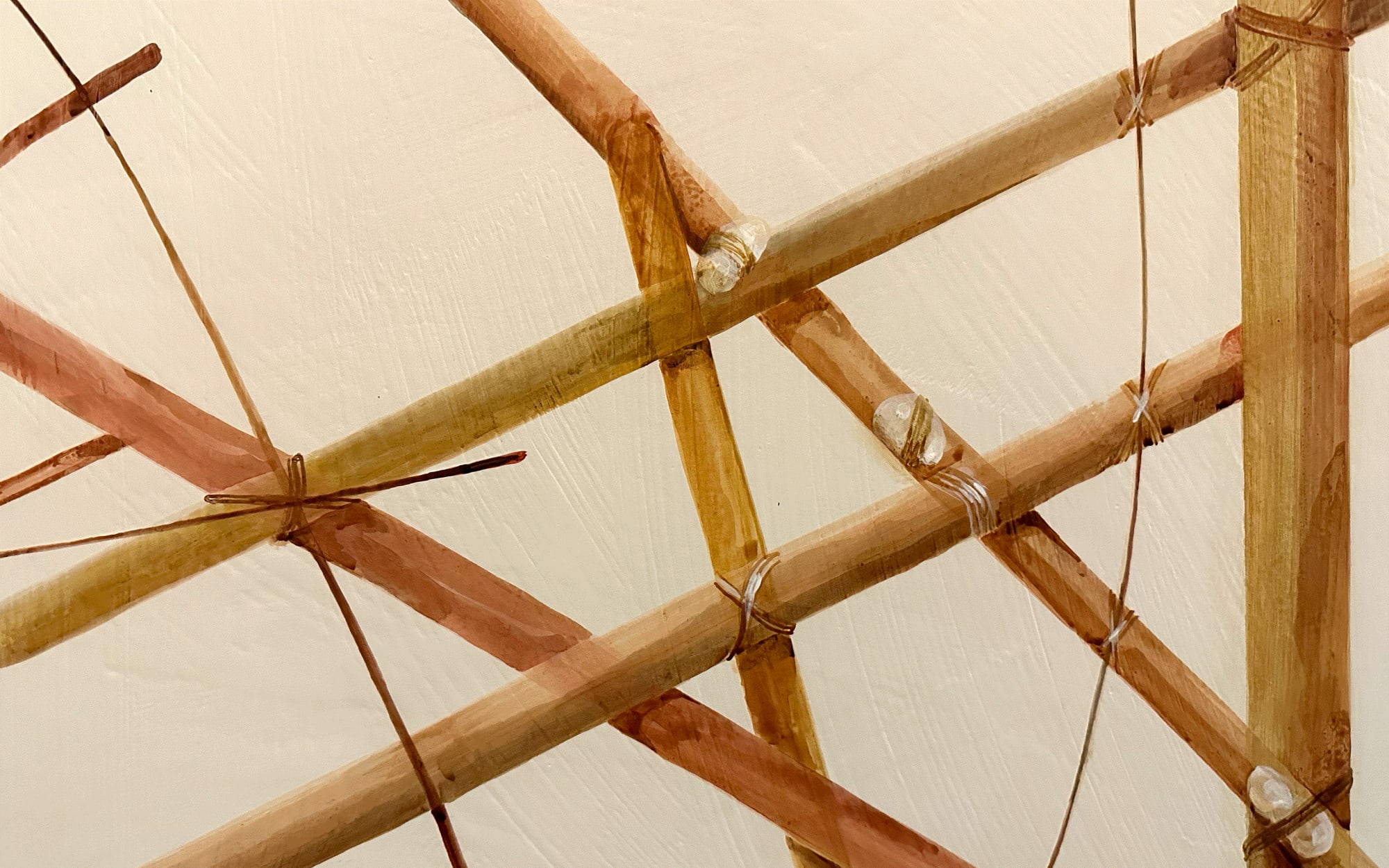 Earth Story: Pam Franklin