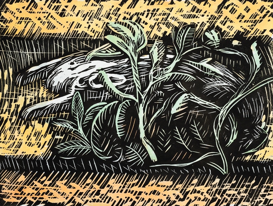 Bloxham Explorations: Daniel Goodwin