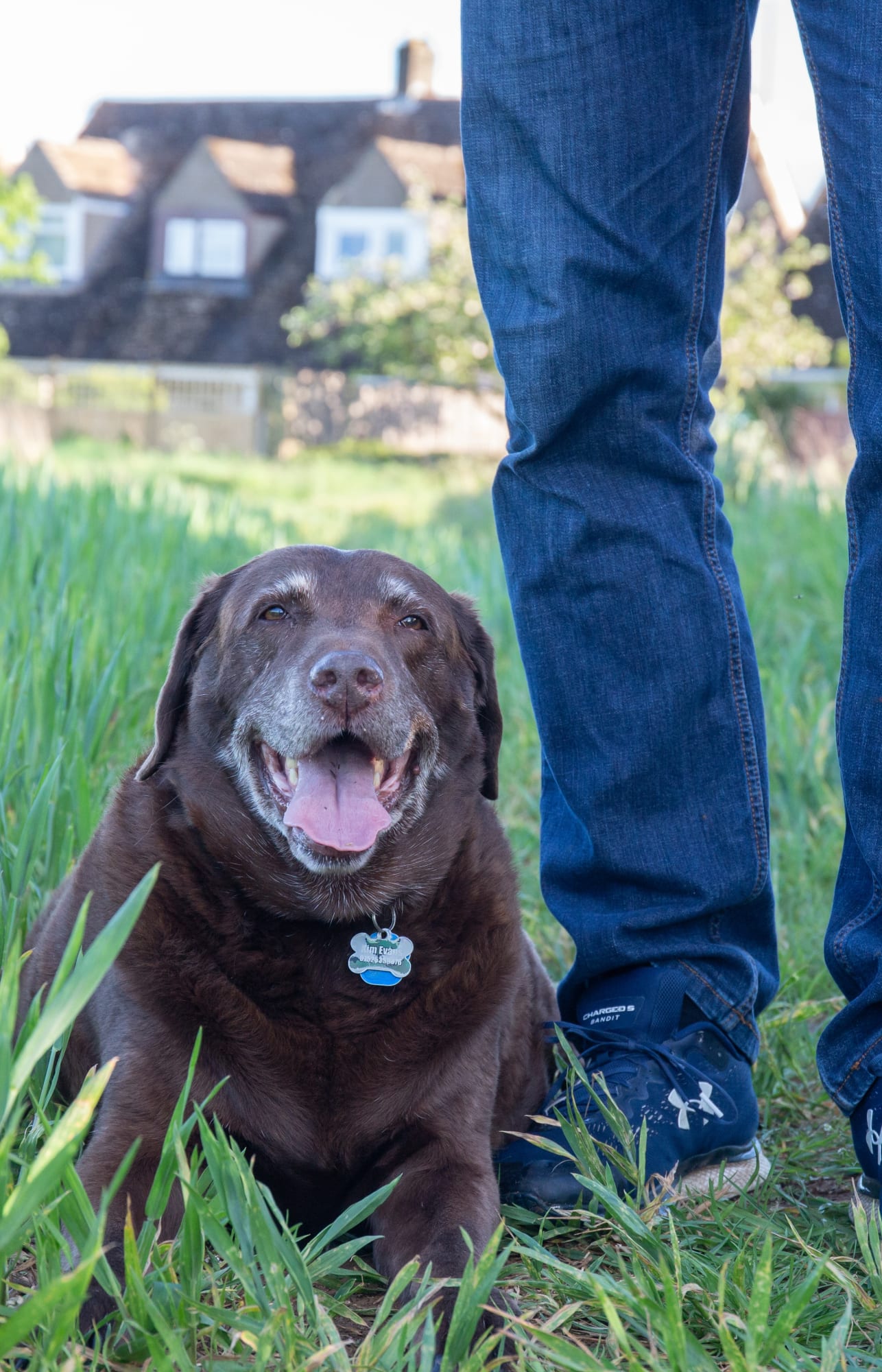 Coco Richard Evans Hill Rise Field, Old Woodstock 45 x 70 cm
