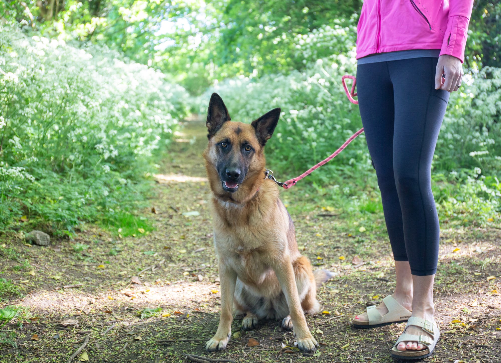 Skyla Suzannah Jackson Old Woodstock fields woodland 21 x 29 cm