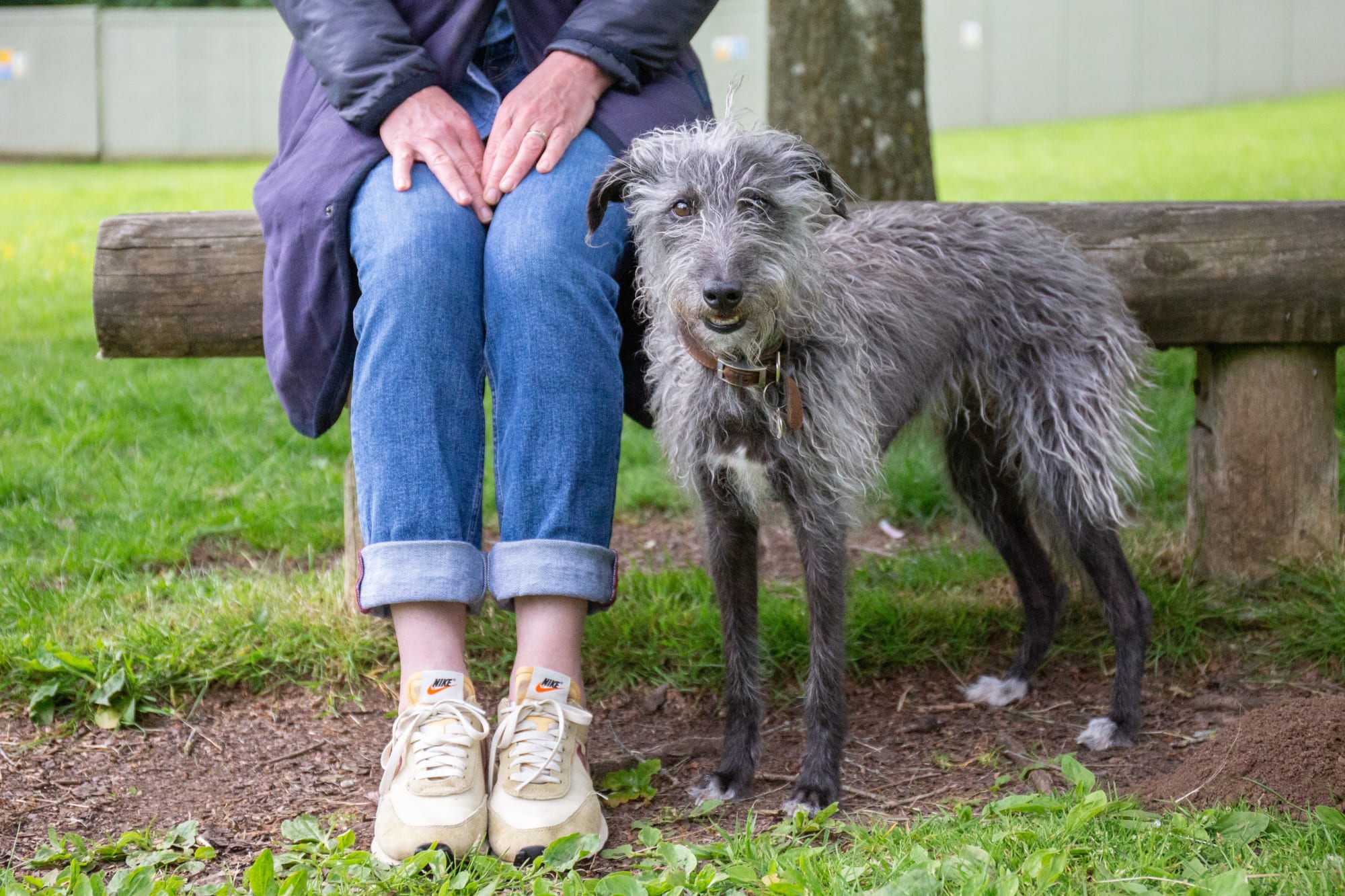 Lupo Fanny Taylor Blenheim Palace 30 x 45 cm