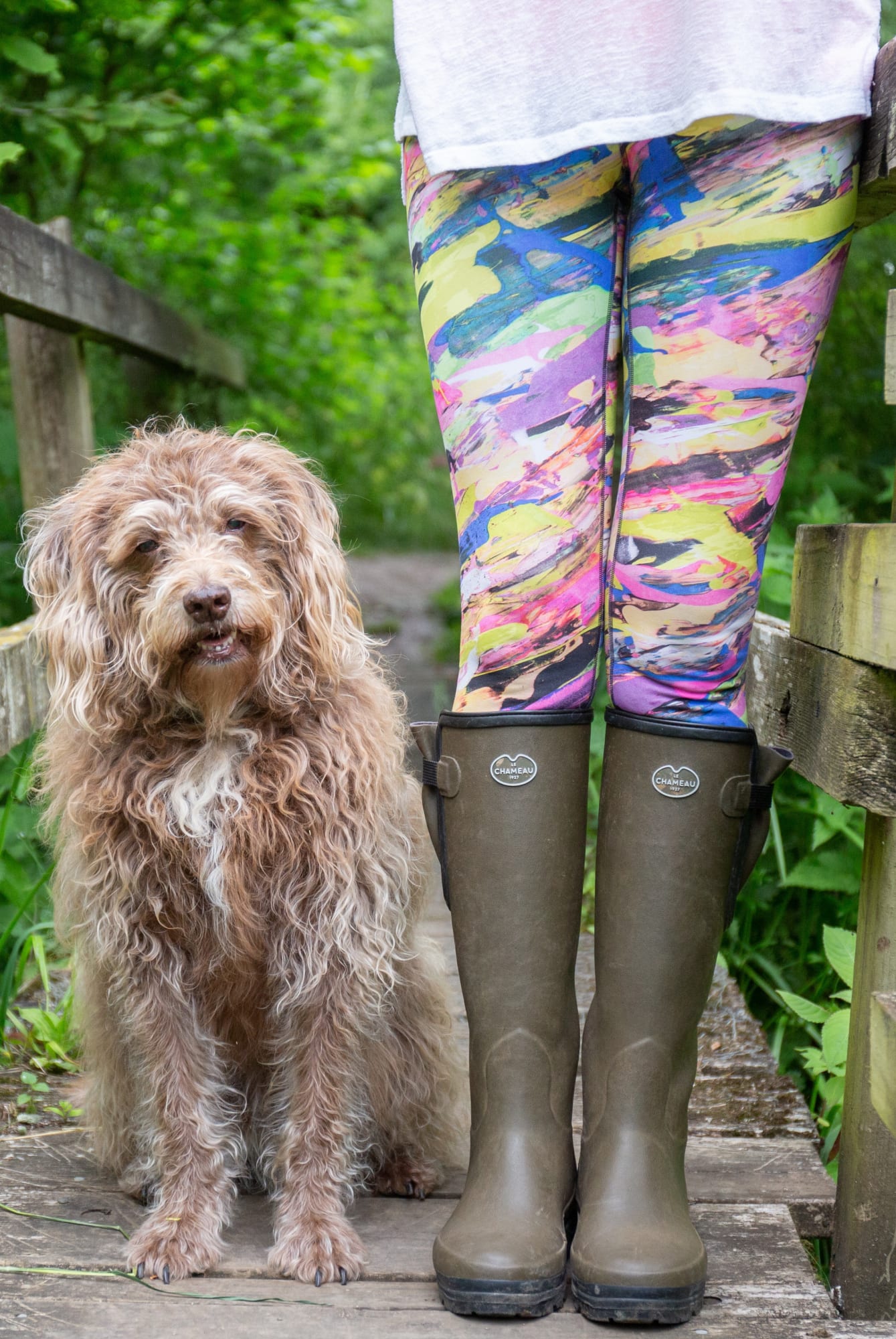 Coco Cat Stranks Water Meadows, Brook Hill 87 x 130 cm