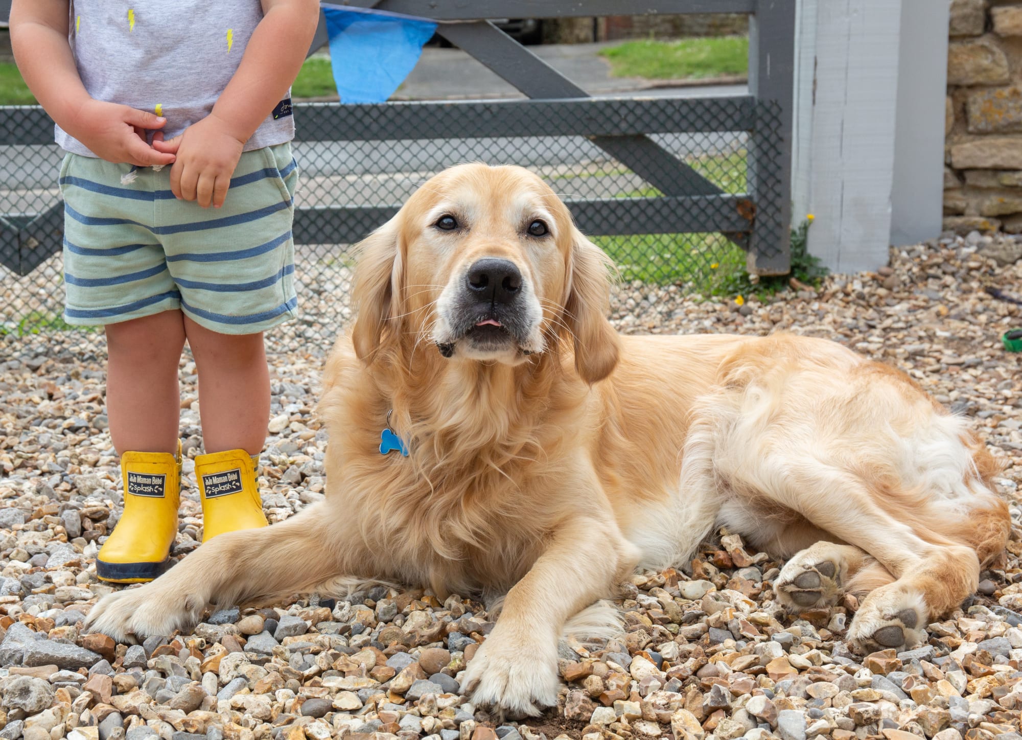 Winston Barney Smith (Amy and Bill's son) A private house, Manor Road 21 x 29 cm