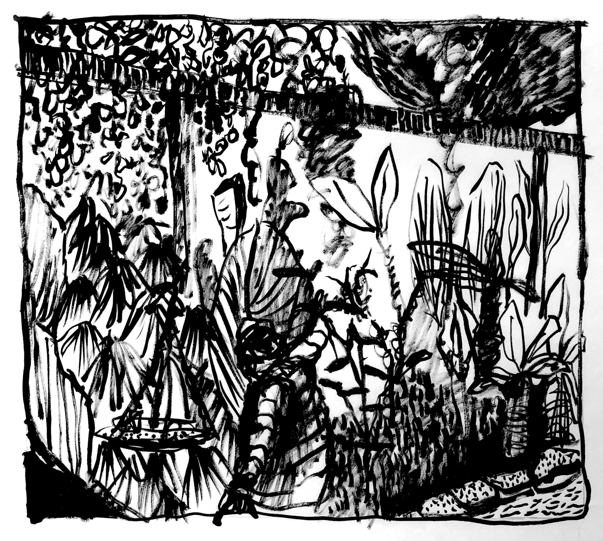 Ink and Wire: Charlotte Johnson / Rosie Brown