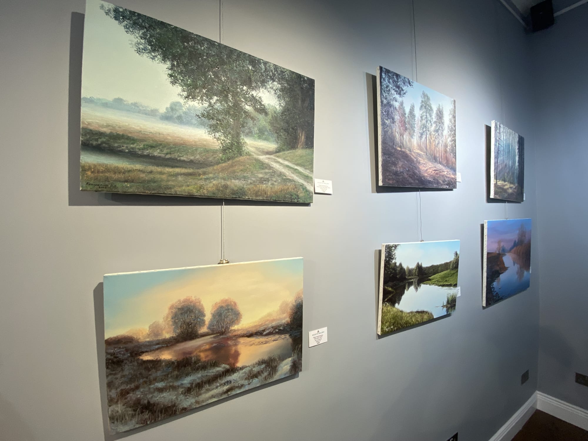 Environmental Beauty