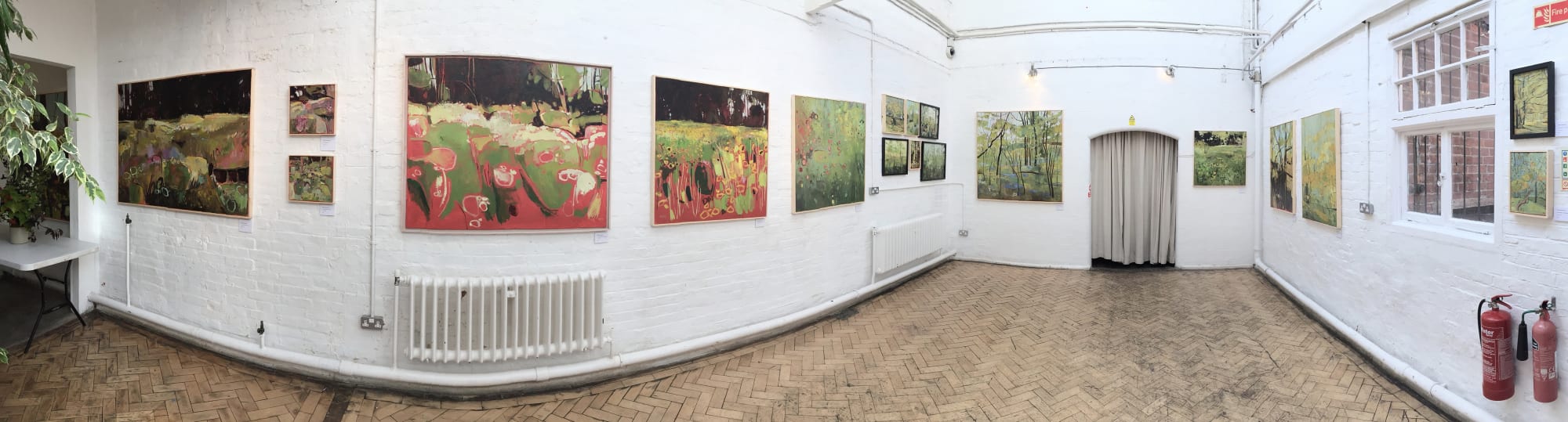 Recent Landscapes 2016