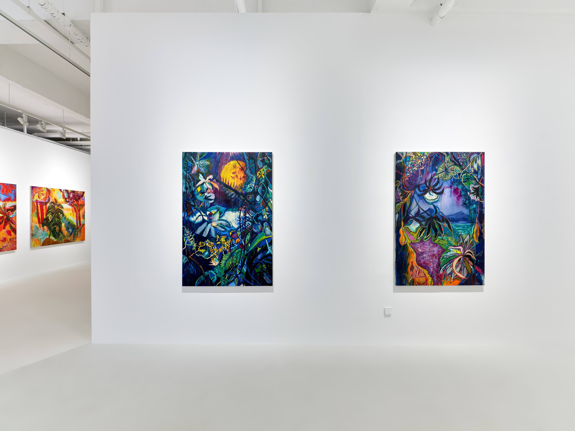 Roverano: House by the River in the Middle of the Jungle