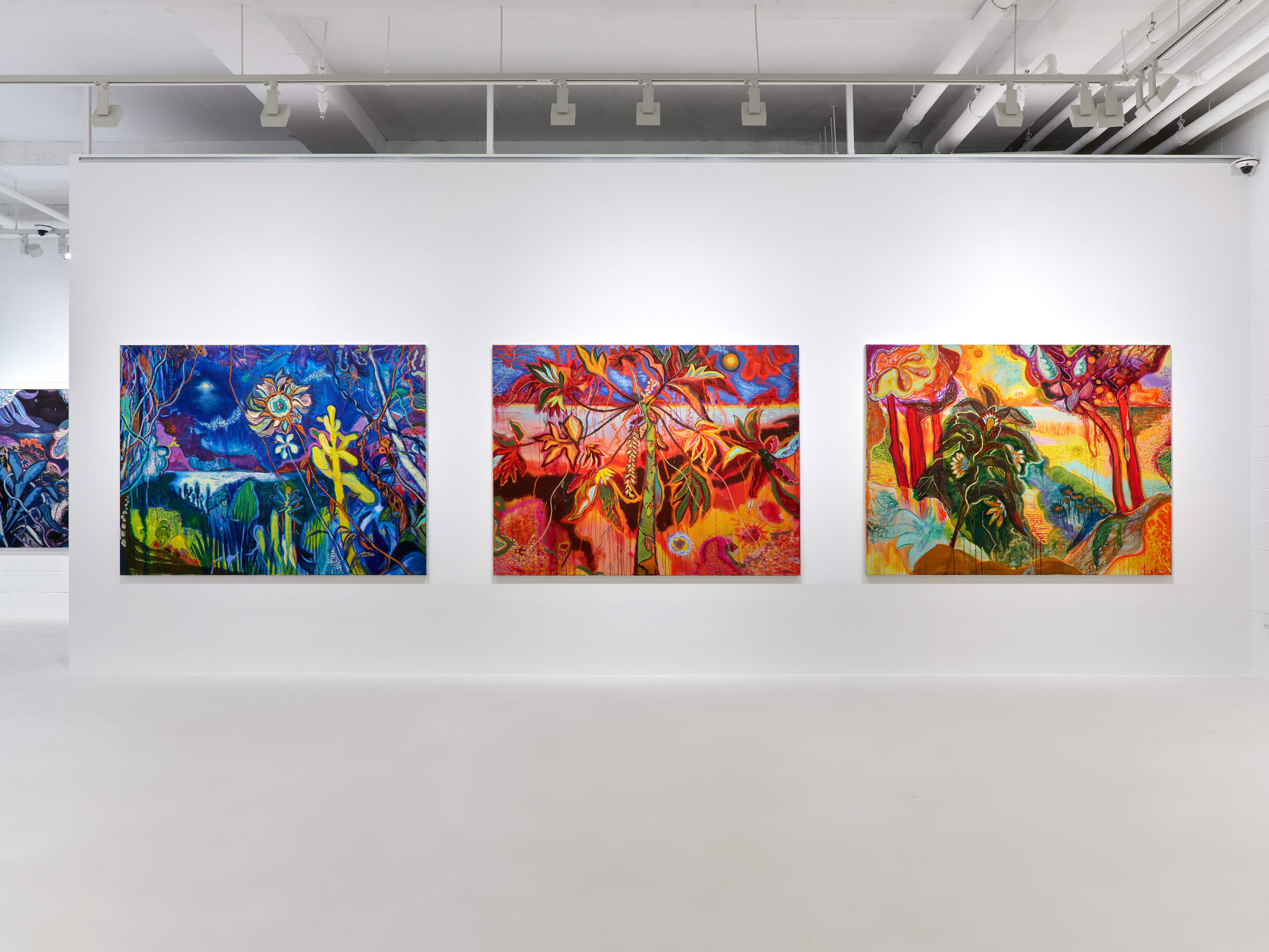 Roverano: House by the River in the Middle of the Jungle