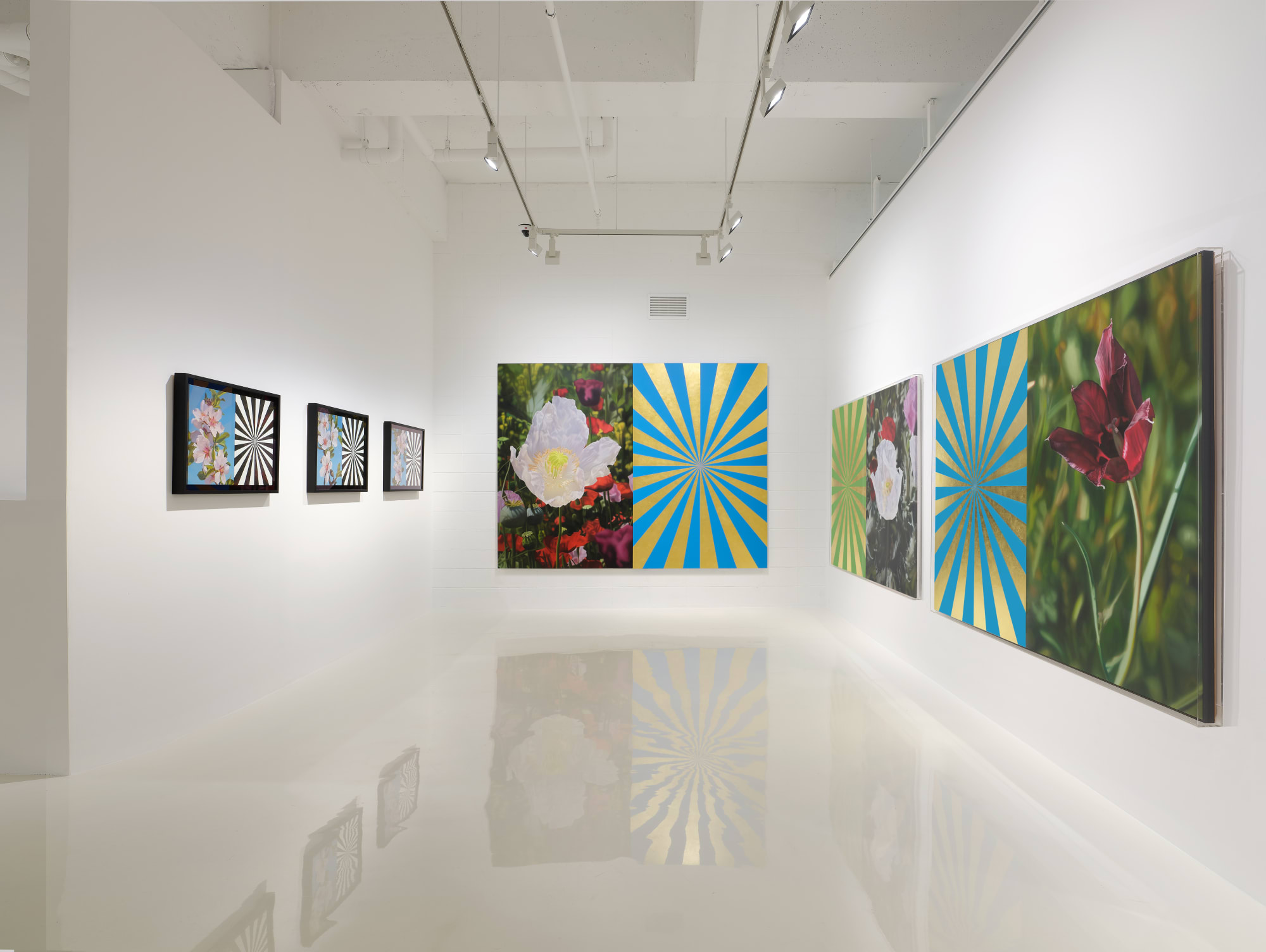 Musfata Hulusi Blossoms in Spiritual Time Installation view