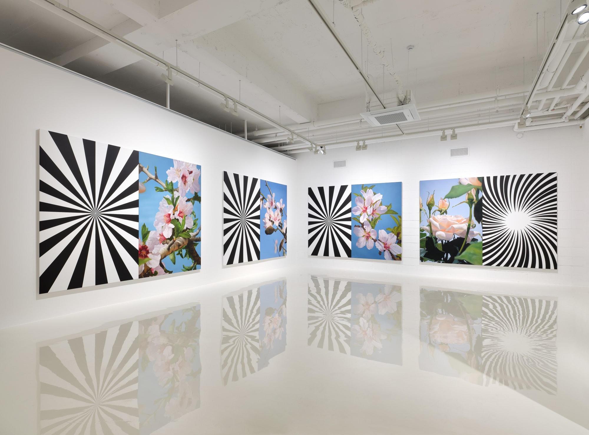 Musfata Hulusi Blossoms in Spiritual Time Installation view