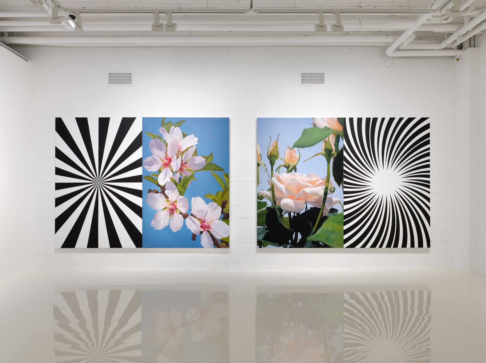 Musfata Hulusi Blossoms in Spiritual Time Installation view