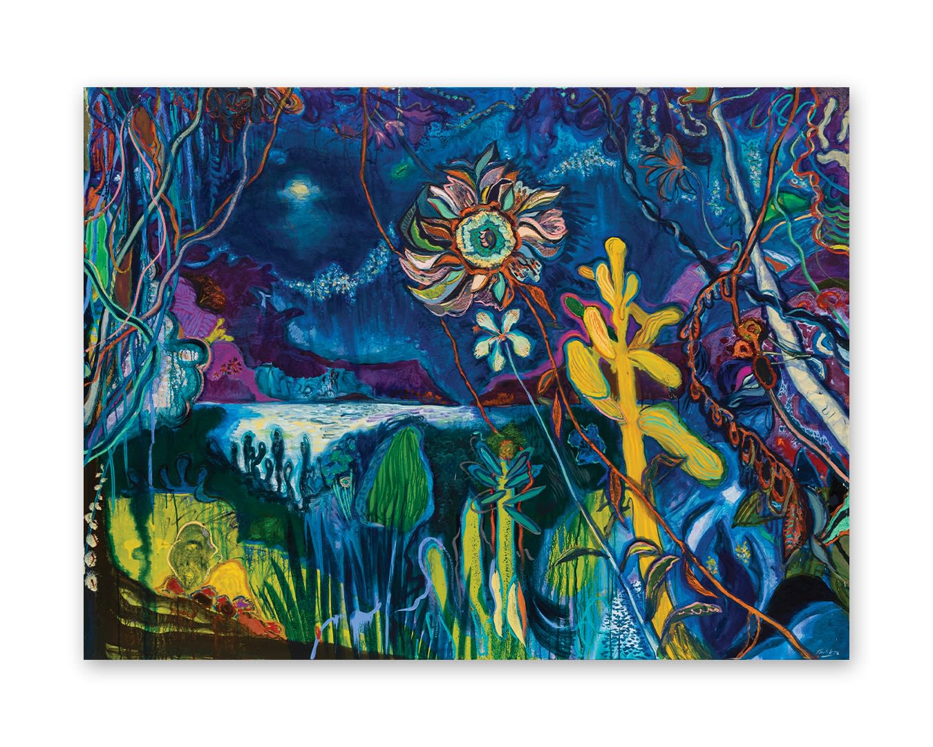 Roverano: House by the River in the Middle of the Jungle