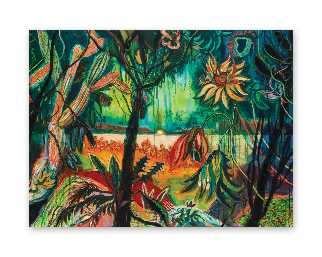 Roverano: House by the River in the Middle of the Jungle