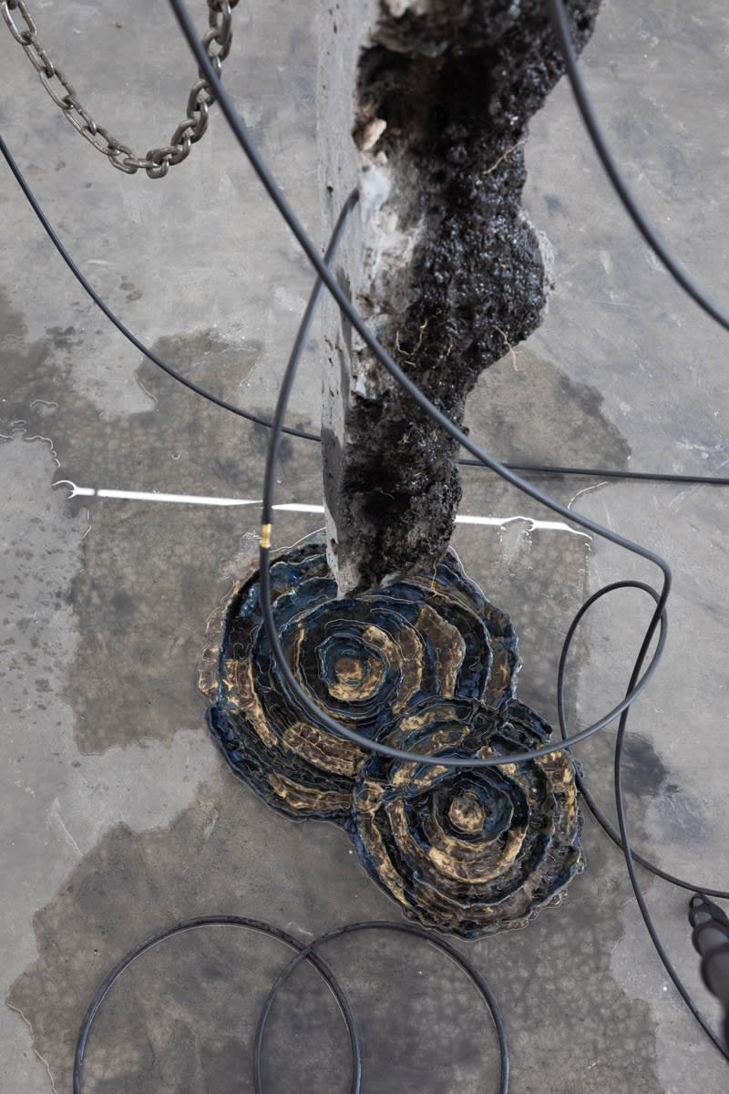 Usando este cuerpo, pensando en la fuente