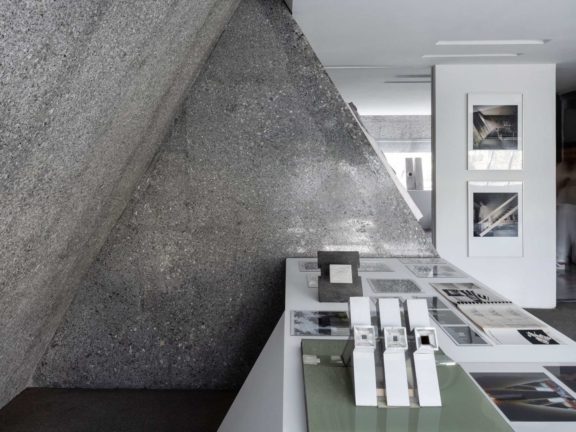 Por debajo del árbol [What lies under the tree]