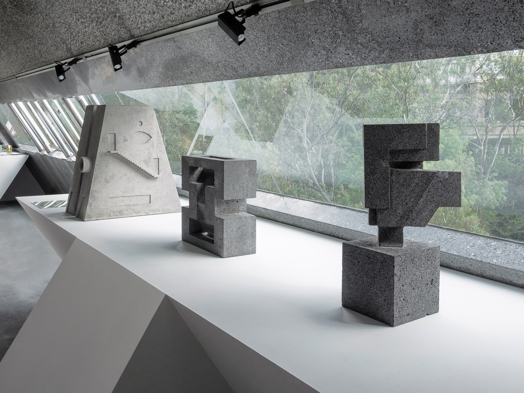 Por debajo del árbol [What lies under the tree]