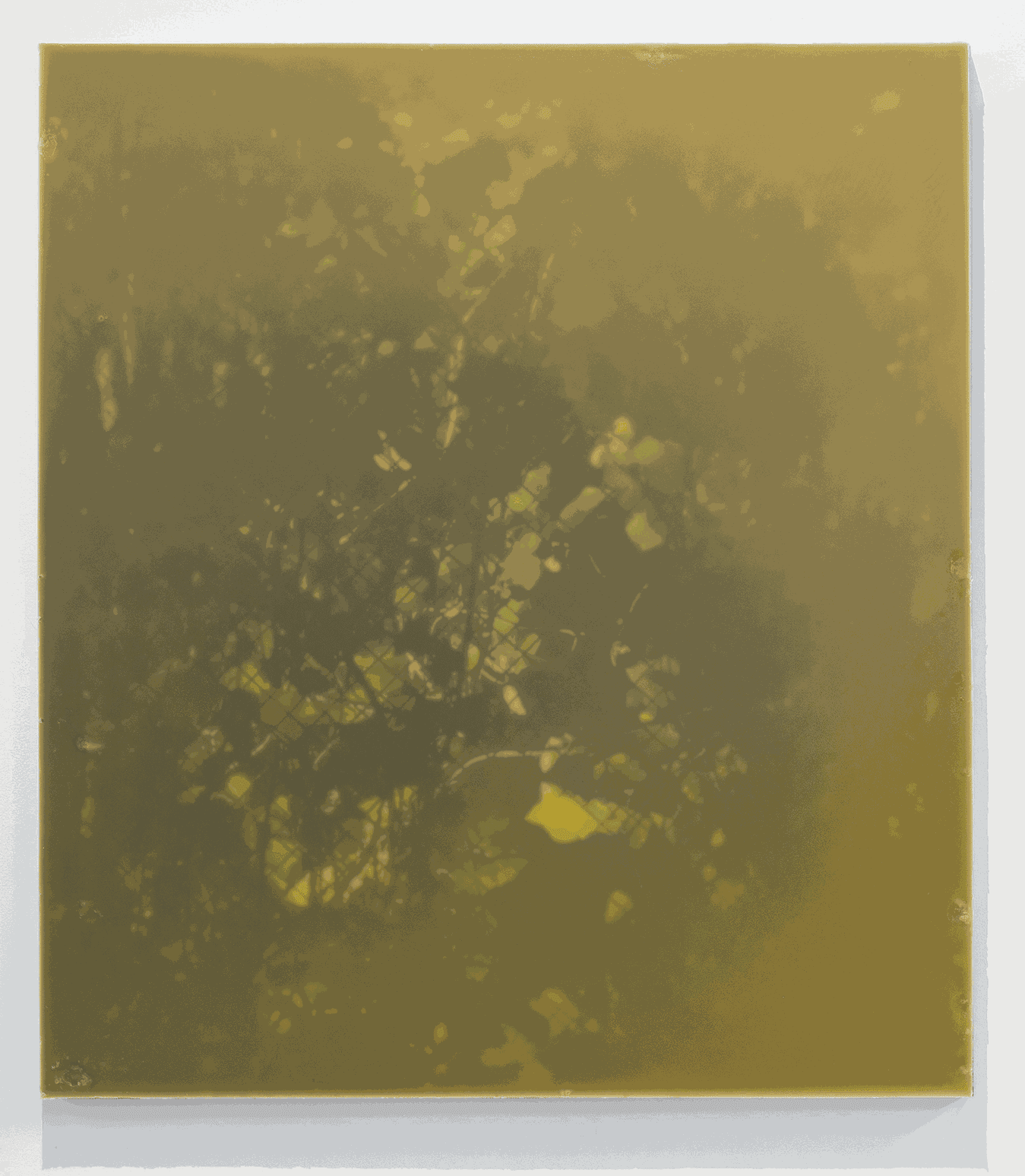 Manuela García De la serie Pinturas de cera. Cuando la luz el verde, 2022 Encaustic on digital printing and wood 116 x 103 x 6.5 cm (45.67 x 40.55 x 2.56 in)