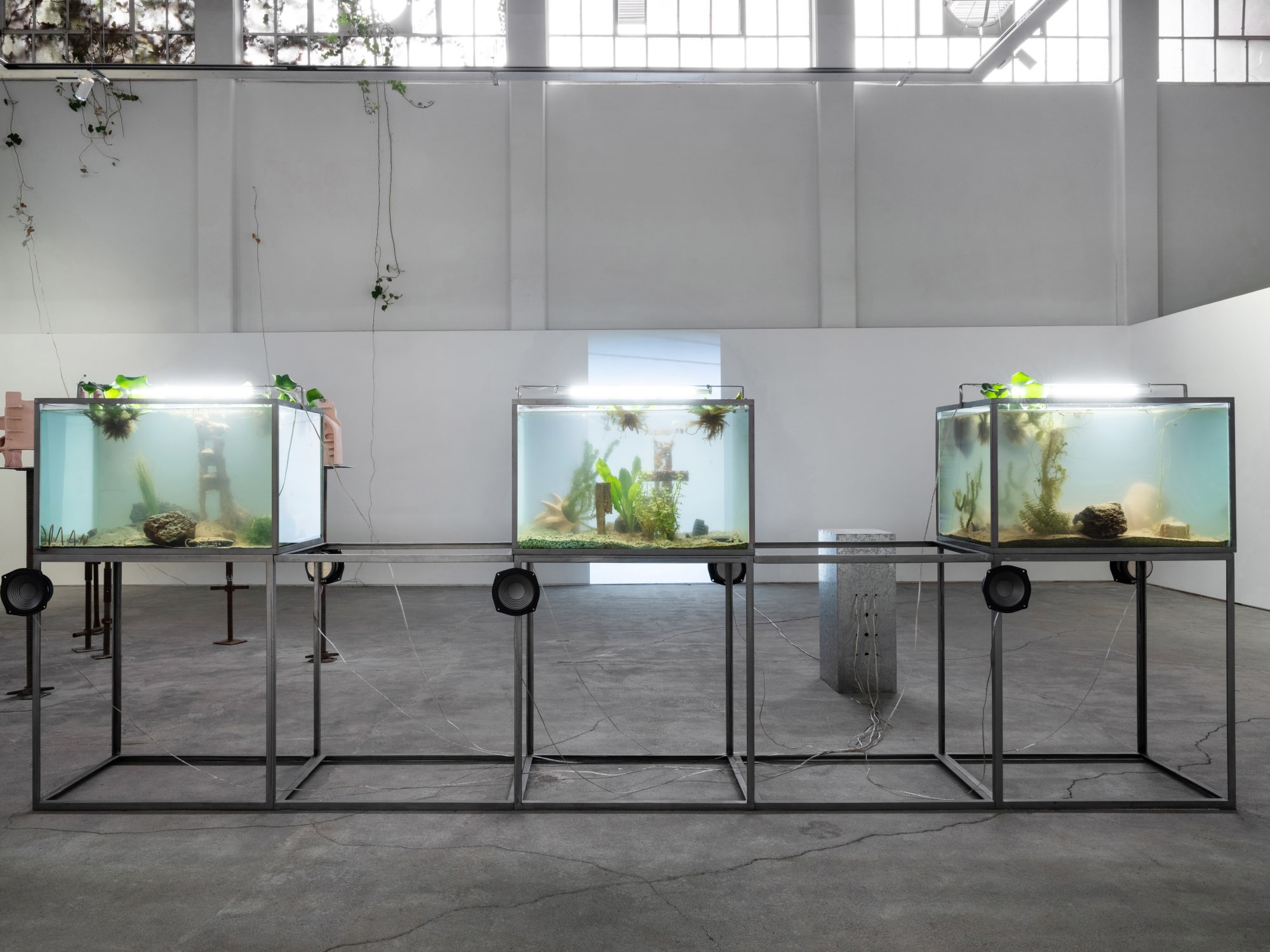 Carolina Fusilier Manifiesto de la comunidad metabólica I-3, 2024 3 tanks with a metal structure, speakers, clay pieces, plants, and stones 144 x 400 x 55.5 cm (56.7 x 157.5 x 21.9 in)