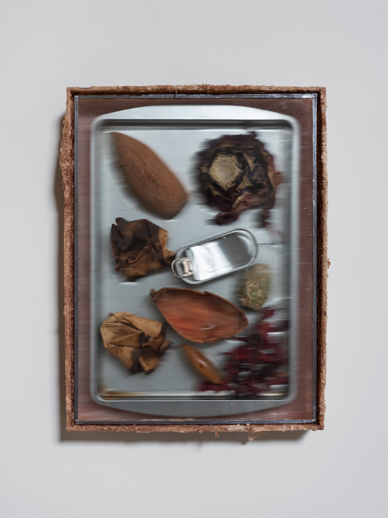 Manuela de Laborde Charola de recuerdos, 2025 Acrylic, salt, stainless steel, acetate, paper, coffee, hibiscus flower, mamey crust and bone, prickly pear, purple cabbage 5.9 x 40.6 x 30.6 cm (2.3 x 15.9 x 12 in)