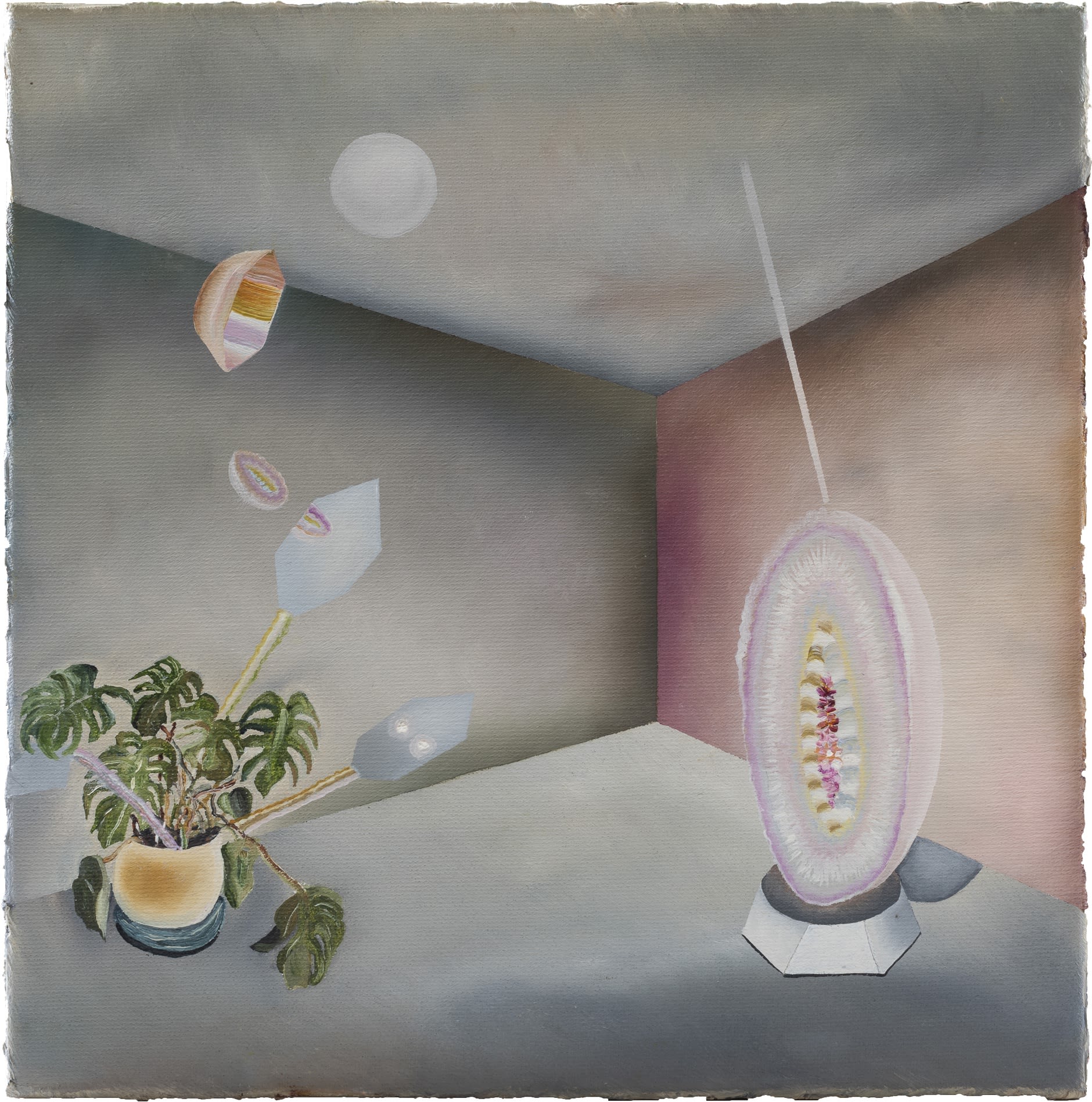 Rebecca Sharp Access Luminous, 2023