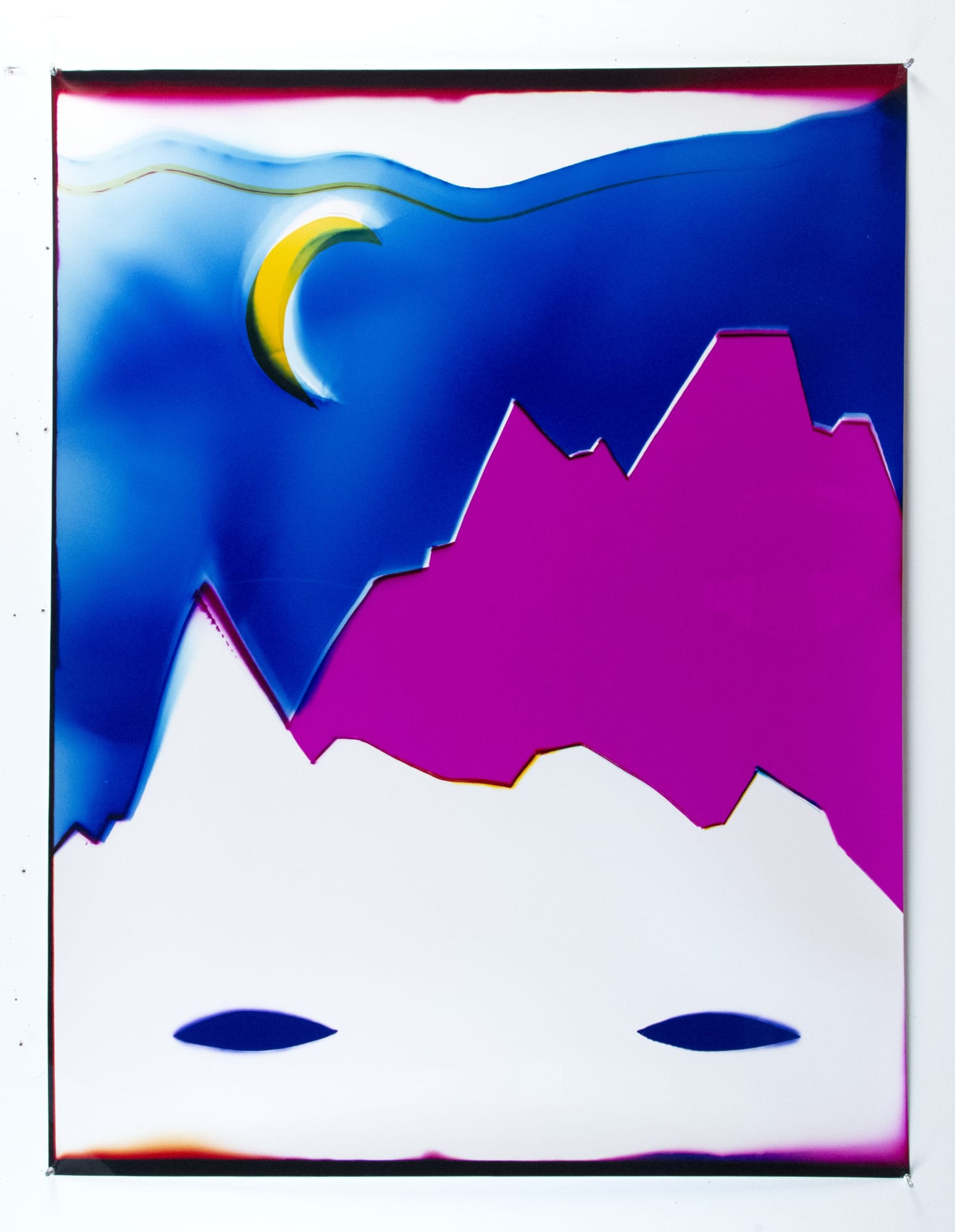 Liz Nielsen She&rsquo;s a King, 2022 Analog chromogenic photogram on Fujiflex 49 x 40 in 124.46 x 101.6 cm