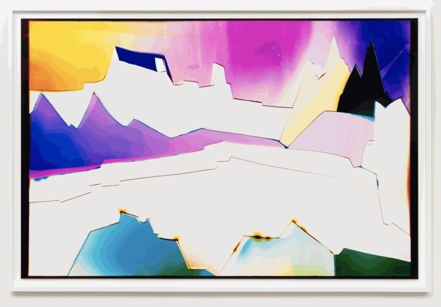 Liz Nielsen I Like to Imagine You're in a Place Like This, 2021 Analog chromogenic photogram on Fujiflex 50 x 73 in