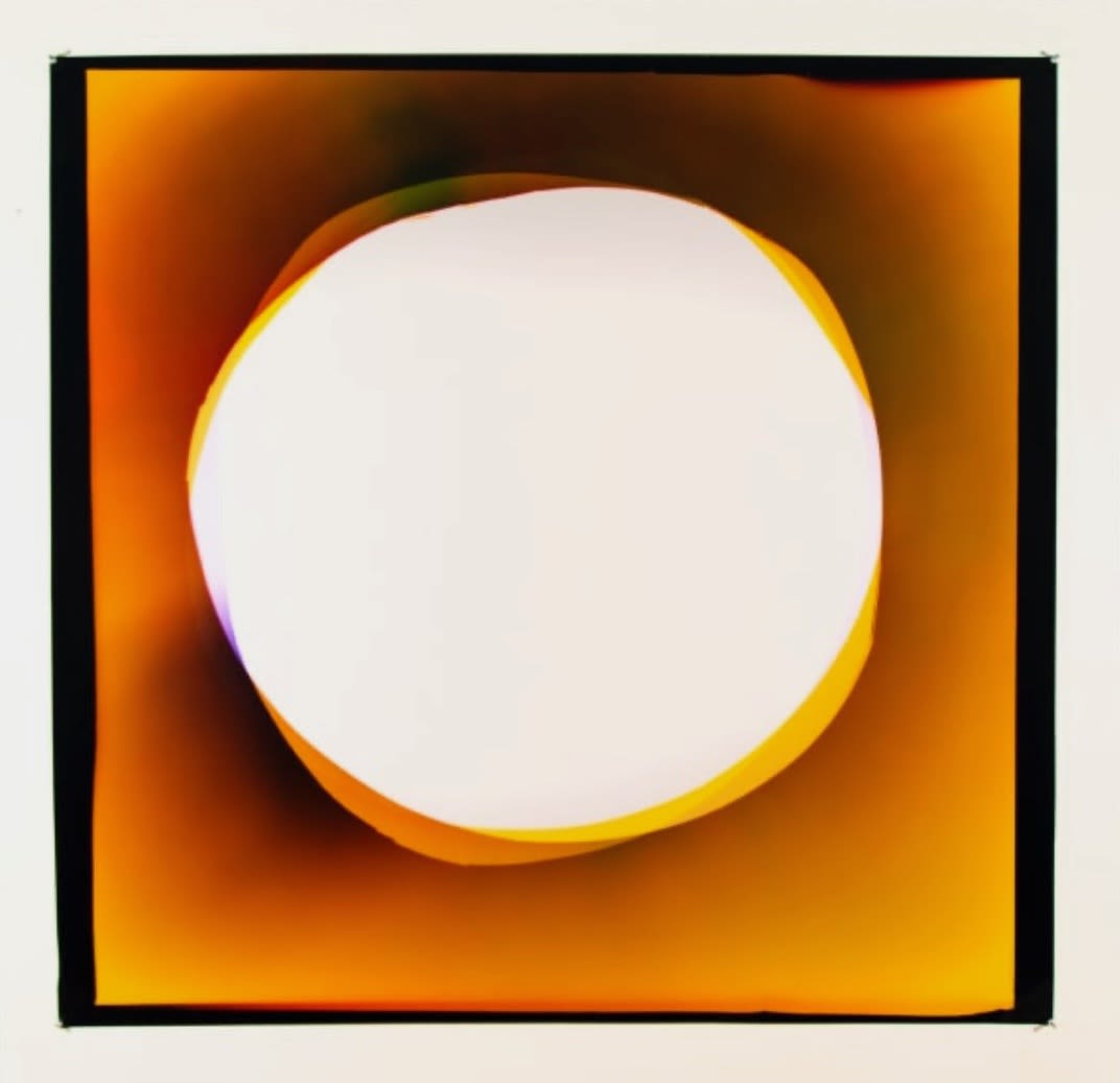 Liz Nielsen Golden Harvest Moon, 2021 Analog Chromogenic Photogram in Fujiflex 50 x 52 in 127 x 132.1 cm