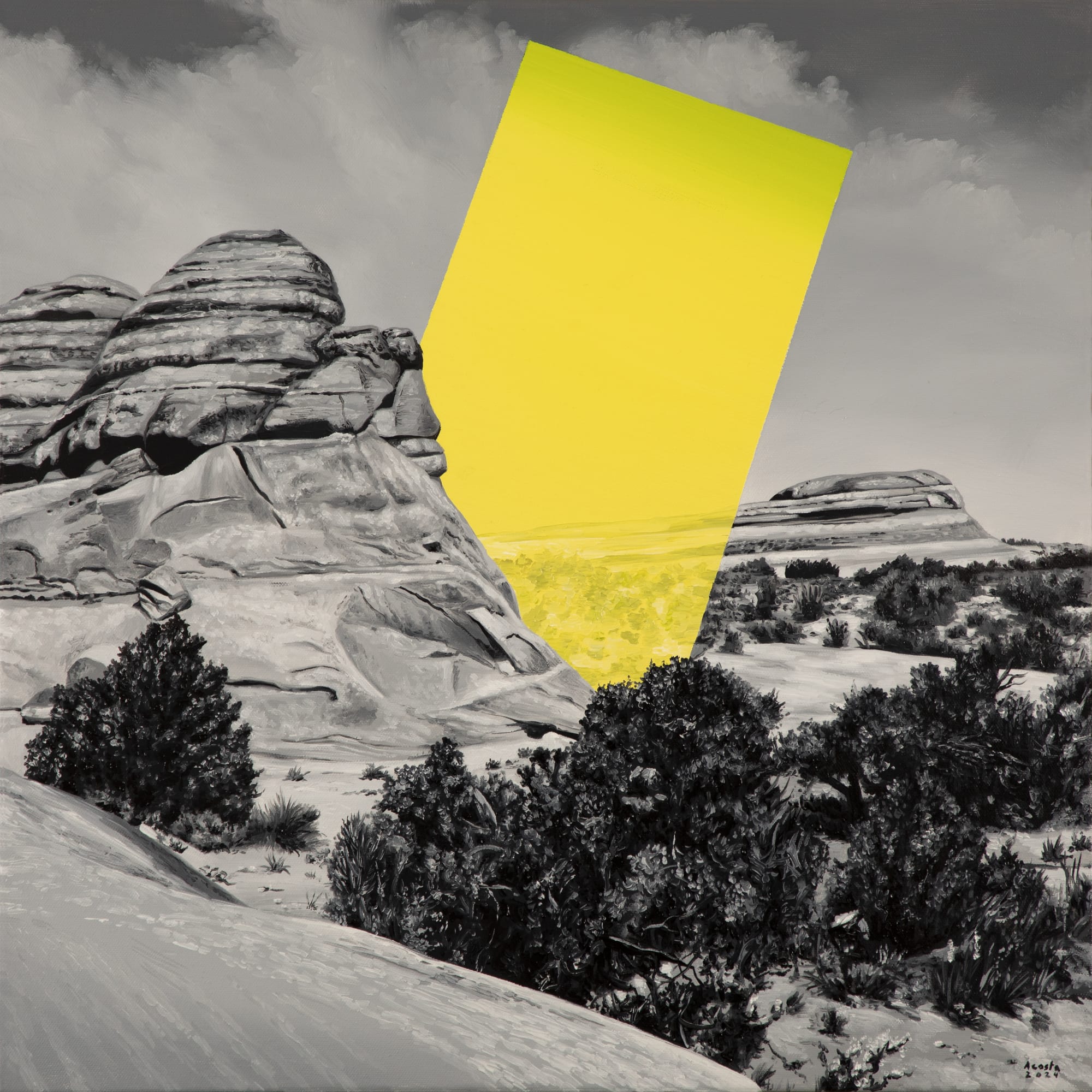 Marcos Acosta Transparency, 2024 Oil on canvas 20 x 20 in