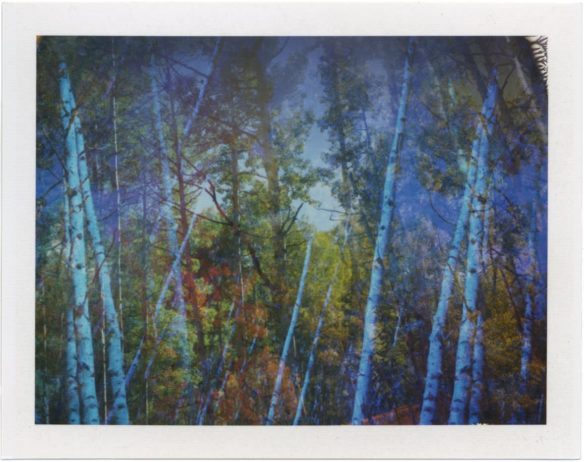 Terri Loewenthal Creature Comfort 18 (Kebler Pass, CO - Ute land), 2024 Fuji Peel Apart Film 9 1/4 x 10 in 23.4 x 25.4 cm