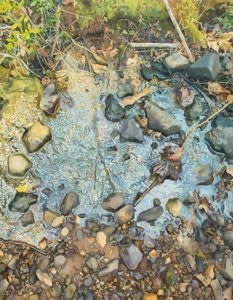 Scott Avett The Creek, 2020