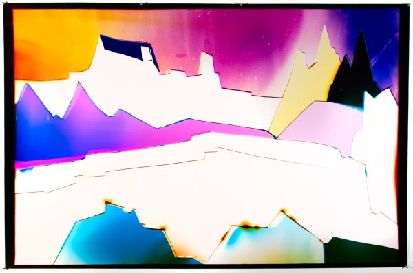 Liz Nielsen I like to Imagine You're in a Place like this, 2021 Analog chromogenic photogram on Fujiflex 50 x 73 in 127 x 185.4 cm Framed dimensions: 53 3/4 x 79 1/2 in 136.52 x 201.9 cm