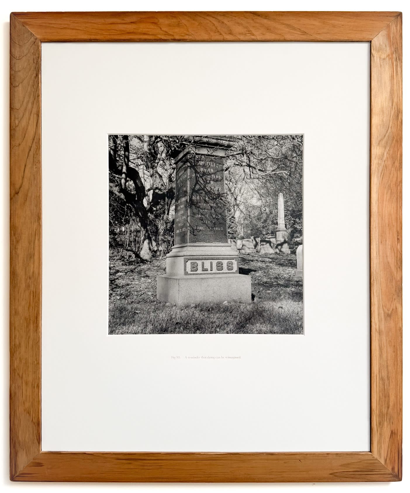 Gala Prudent Anthology of the Ghost - Fig. 93: Bliss (A reminder that dying can be reimagined.) 2024 Silver gelatin print, engraved archival board (1st edition of 3), 2024 Silver gelatin print, engraved archival board 20 x 24 in 50.8 x 61 cm