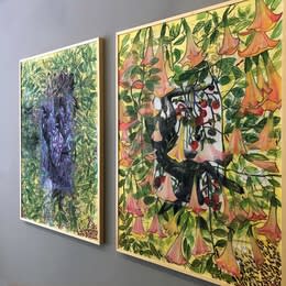 Nikola Džafo: The Garden of Solstice Secrets