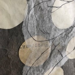 Daniela Fulgosi: The Measure of Survival