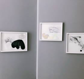 Daniela Fulgosi: The Measure of Survival