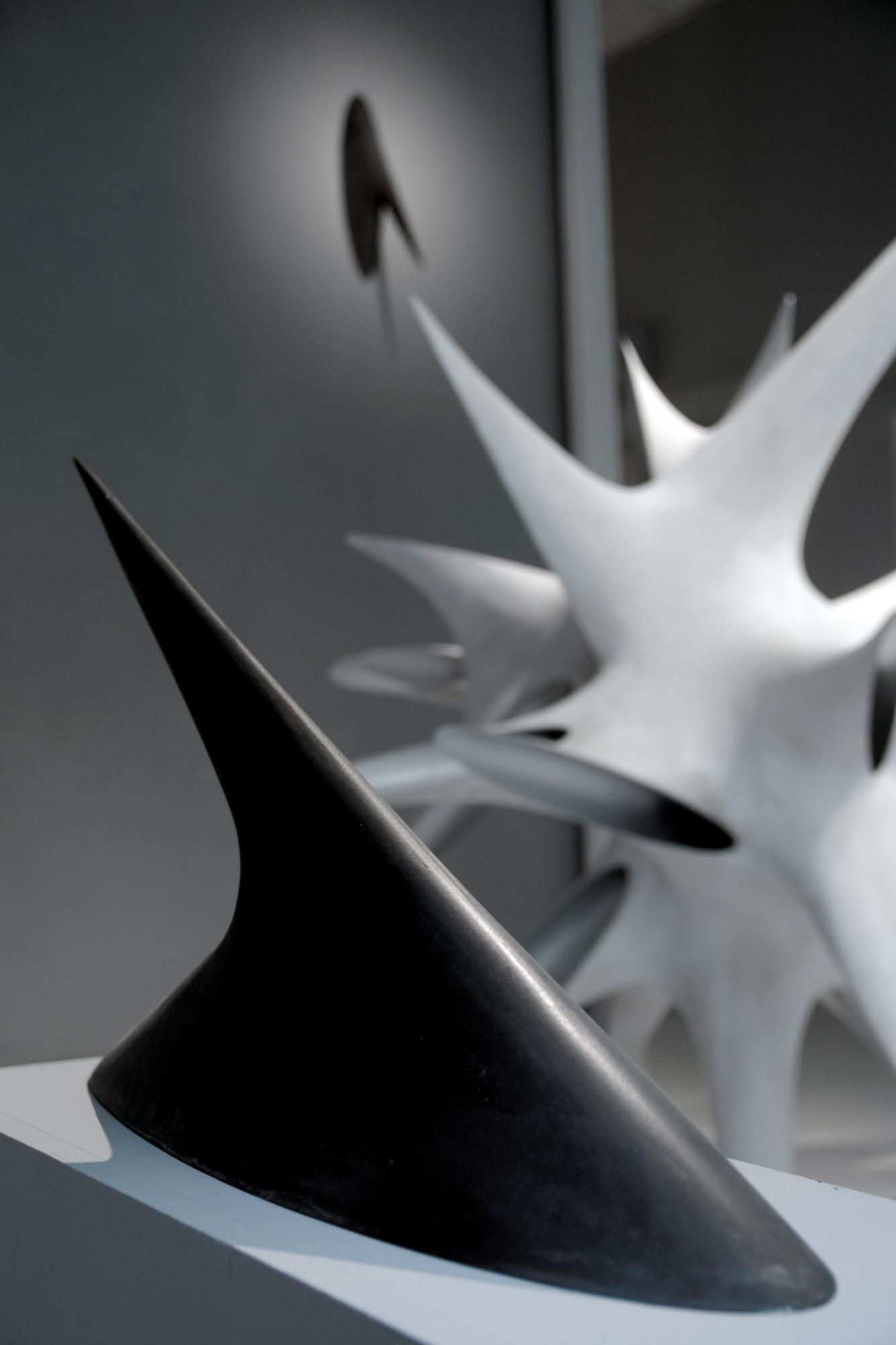 MILIJA ČPAJAK: The Beauty of Danger