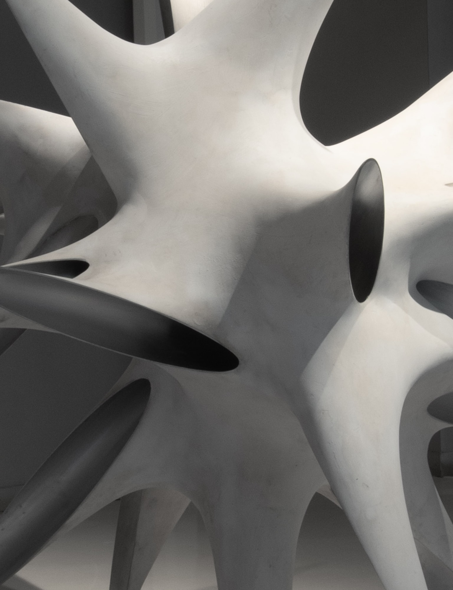 MILIJA ČPAJAK: The Beauty of Danger