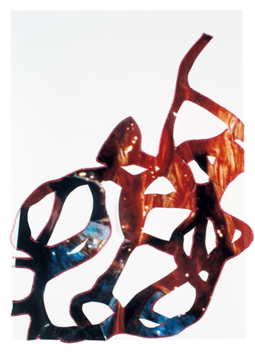 Restoration, 2013 Varnish layer of a photo sawn on paper Restoration, 2013 29,7 x 21 cm GRI0042