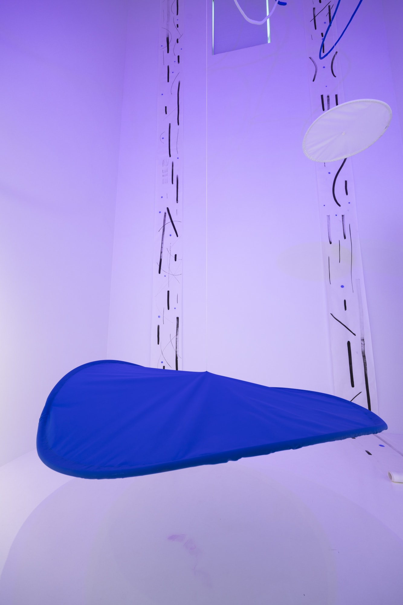 Björk Viggósdóttir