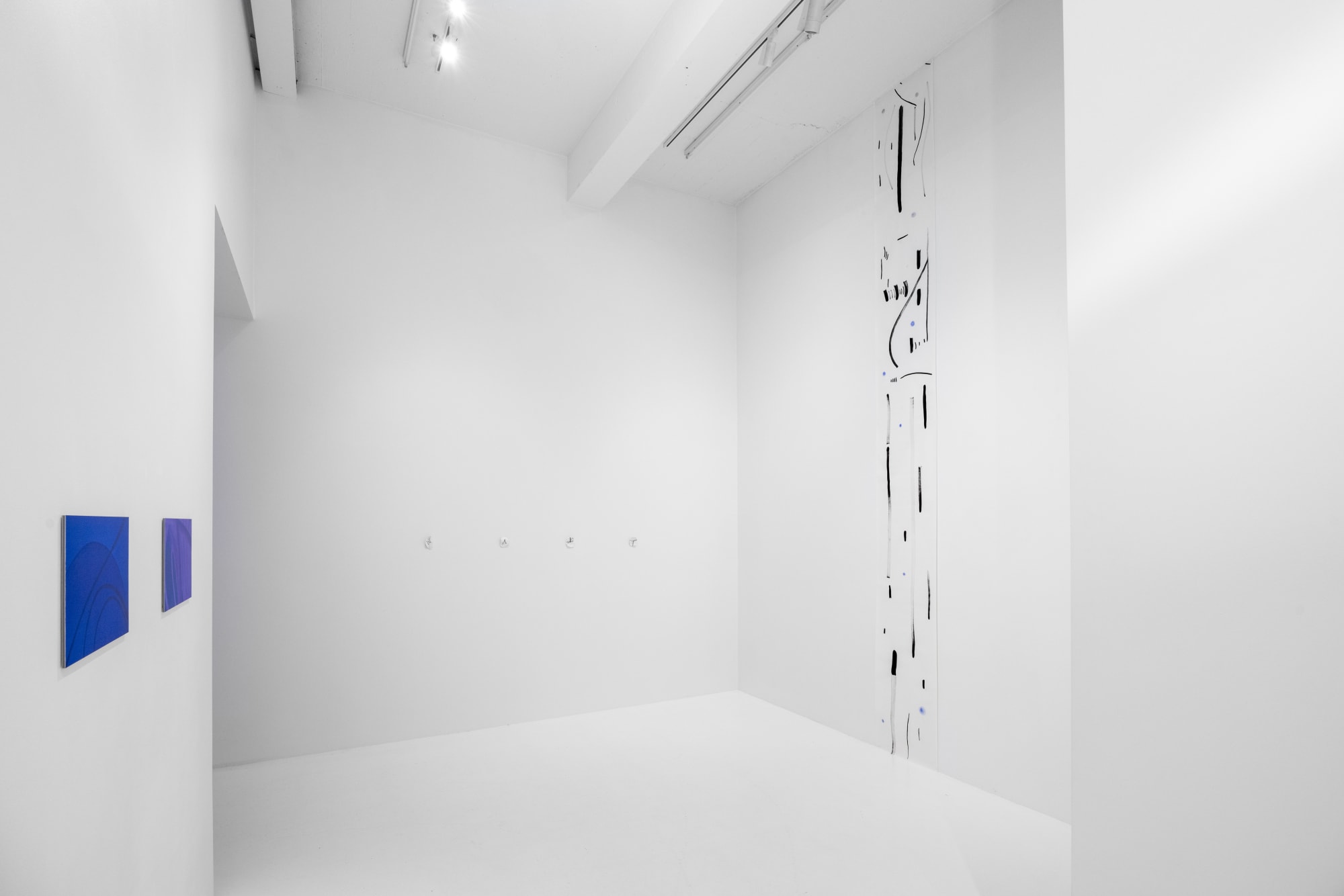 Björk Viggósdóttir