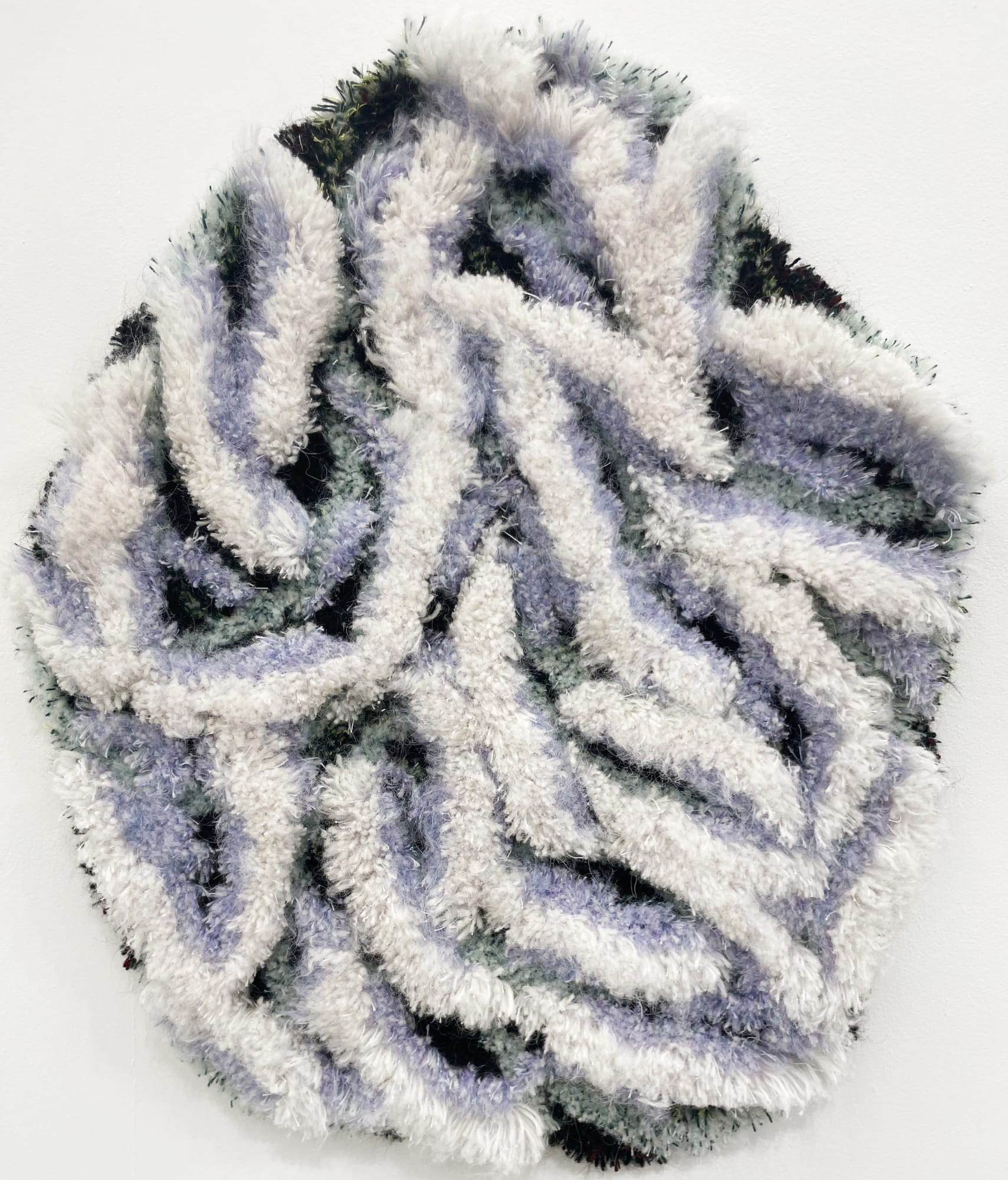 Lilý Erla Adamsdóttir