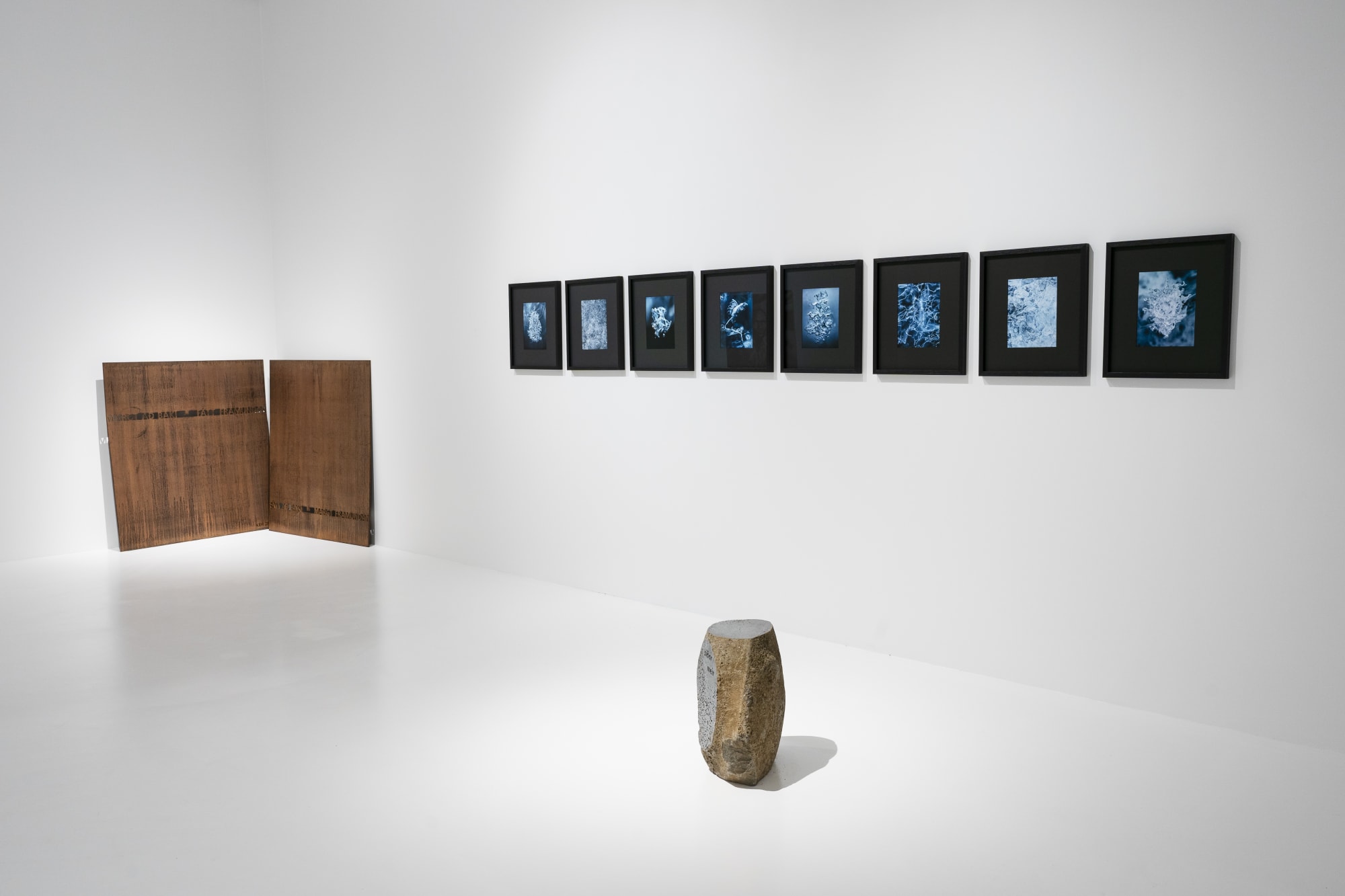 Ár•farvegur // Stream•bed