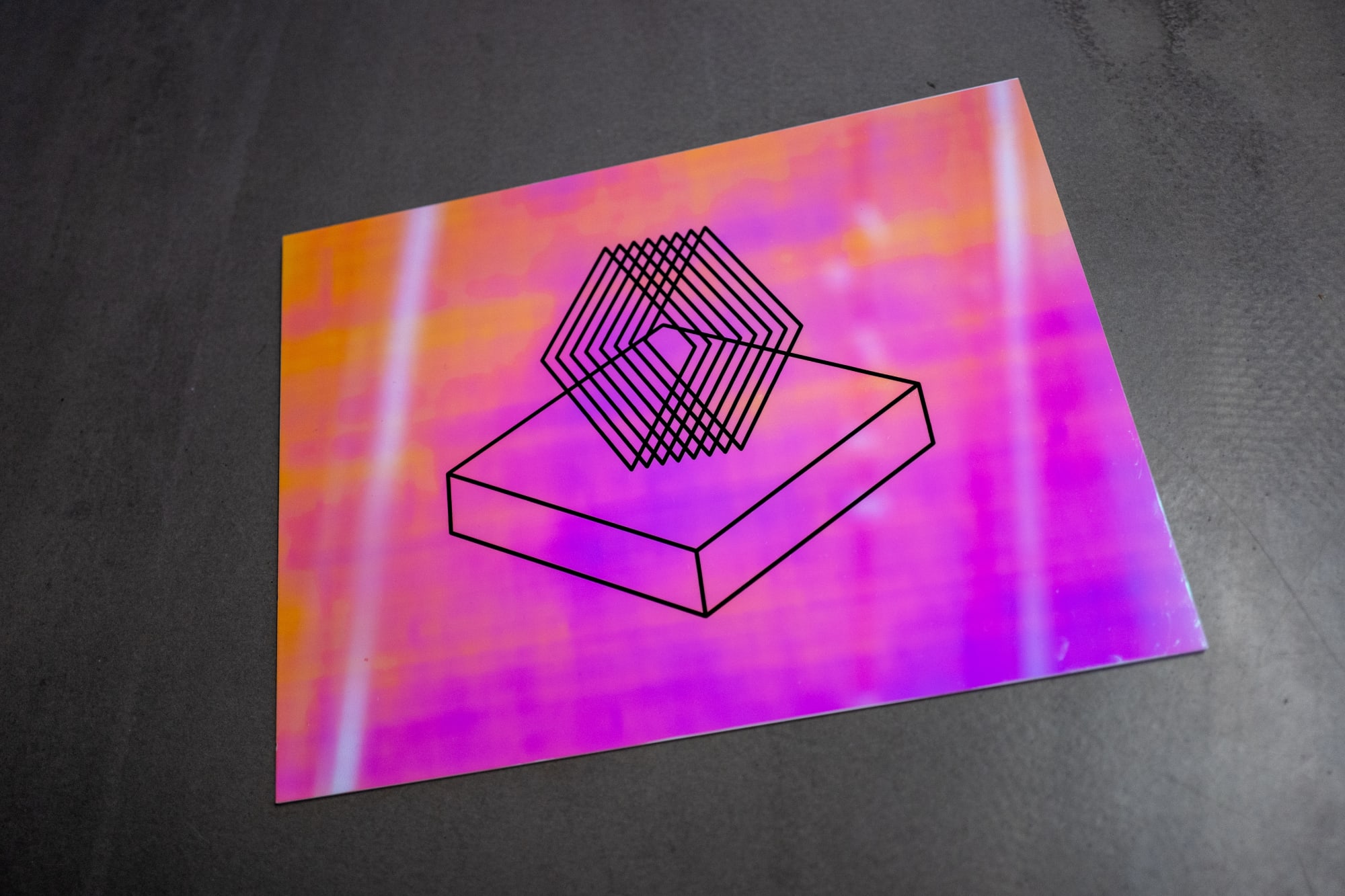 Þórdís Erla Zoega